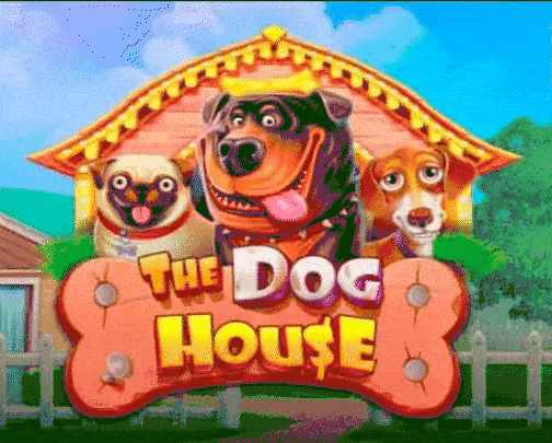 play The Dog House in tikal casino